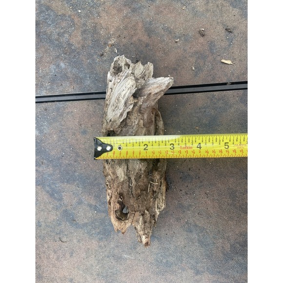 Natural Driftwood for Plants Terrarium Taxidermy Art Projects - Picture 5 of 5